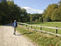 NL, Gelderland, Rheden, NP Veluwezoom, Herikhuizen 4, Saxifraga-Jan van der Straaten