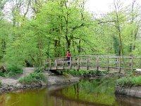 NL, Gelderland, Winterswijk, Bekendelle 4, Saxifraga-Tom Heijnen