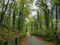 NL, Limburg, Eijsden-Margraten, W of Noorbeek 4, Saxifraga-Tom Heijnen