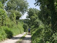 NL, Limburg, Eijsden-Margraten, near Terhorst 1, Saxifraga-Tom Heijnen