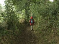 NL, Limburg, Margraten, Noorbeek 1, Saxifraga-Jan van der Straaten