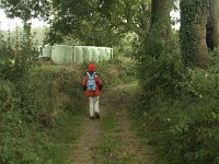 NL, Limburg, Margraten, Noorbeek 3, Saxifraga-Jan van der Straaten