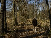 NL, Limburg, Nederweert, Hugterbroek 4, Saxifraga-Jan van der Straaten