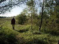 NL, Noord-Brabant, Bergen op Zoom, Hildernisse 2, Saxifraga-Jan van der Straaten