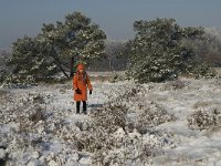 NL, Noord-Brabant, Cranendonck, Groote Heide 12, Saxifraga-Jan van der Straaten