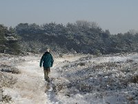 NL, Noord-Brabant, Cranendonck, Groote Heide 14, Saxifraga-Marijke Verhagen