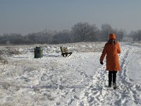 NL, Noord-Brabant, Cranendonck, Groote Heide 7, Saxifraga-Jan van der Straaten