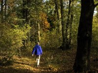 NL, Noord-Brabant, Cranendonck, Hugterheide 14, Saxifraga-Jan van der Straaten