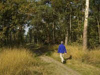 NL, Noord-Brabant, Cranendonck, Hugterheide 9, Saxifraga-Jan van der Straaten