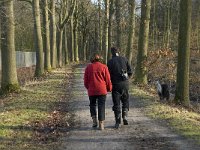 NL, Noord-Brabant, Eindhoven, Lage Heide 7, Saxifraga-Jan van der Straaten