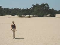 NL, Noord-Brabant, Loon op Zand, Loonsche Duinen 3, Saxifraga-Marijke Verhagen