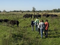 NL, Noord-Brabant, Steenbergen, Dintelse Gorzen 16, Saxifraga-Jan van der Straaten