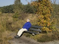 NL, Noord-Brabant, Valkenswaard, Malpiebergsche Heide 11, Saxifraga-Jan van der Straaten