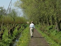 NL, Zuid-Holland, Dordrecht, Oeverlanden Nieuwe Merwede 2, Saxifraga-Jan van der Straaten