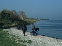 NL, Zuid-Holland, Goeree-Overflakkee, Grevelingen 1, Saxifraga-Jan van der Straaten