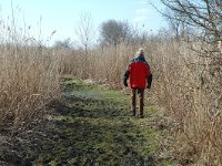 NL, Zuid-Holland, Korendijk, Tiengemeten, Blanken Slikken 9, Saxifraga-Jan van der Straaten