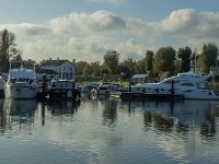 NL, Noord-Brabant, Altena, Spieringsluis 2, Saxifraga-Marijke Verhagen