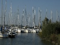 NL, Noord-Brabant, Moerdijk, Willemstad 6, Saxifraga-Jan van der Straaten