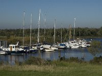 NL, Noord-Brabant, Steenbergen, Benedensas 4, Saxifraga-Marijke Verhagen