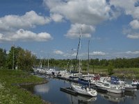 NL, Noord-Brabant, Steenbergen, Dintelse Gorzen 18, Saxifraga-Jan van der Straaten