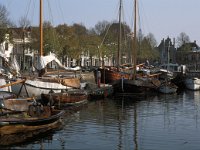 NL, Zeeland, Schouwen-Duivenland, Zierikzee 3, Saxifraga-Jan van der Straaten