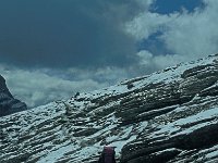 A, Vorarlberg, Nenzing, Barthuemeljoch 6, Saxifraga-Jan van der Straaten