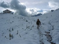 A, Vorarlberg, Sonntag, Biberacher Huette 15, Saxifraga-Jan van der Straaten