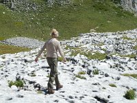 F, Drome, Treschenu-Creyers, Vallon de Combeau 10, Saxifraga-Jan van der Straaten