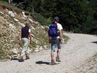 F, Drome, Treschenu-Creyers, Vallon de Combeau 23, Saxifraga-Jan van der Straaten