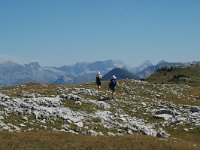 F, Drome, Treschenu-Creyers, Vallon de Combeau 28, Saxifraga-Jan van der Straaten