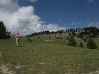 F, Drome, Treschenu-Creyers, Vallon de Combeau 36, Saxifraga-Jan van der Straaten