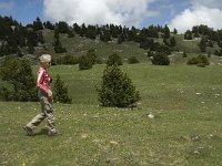 F, Drome, Treschenu-Creyers, Vallon de Combeau 37, Saxifraga-Jan van der Straaten