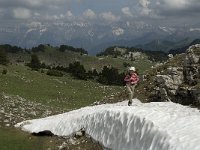 F, Drome, Treschenu-Creyers, Vallon de Combeau 43, Saxifraga-Jan van der Straaten