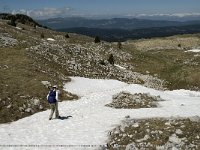 F, Isere, Gresse-en-Vercors, Pas des Bachassons 15, Saxifraga-Jan van der Straaten