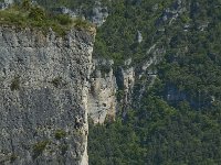 F, Lozere, Le Rozier 10, Saxifraga-Marijke Verhagen