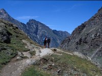 I, Valle d'Aosta, Cogne, Levionaz 2, Saxifraga-Jan van der Straaten