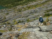 N, Nordland, Meloy, Svartisen 33, Saxifraga-Marijke Verhagen