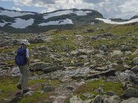 N, Oppland, Lom, Sognefjellet 18, Saxifraga-Jan van der Straaten