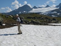 N, Oppland, Lom, Sognefjellet 5, Saxifraga-Jan van der Straaten