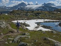 N, Oppland, Lom, Sognefjellet 7, Saxifraga-Jan van der Straaten