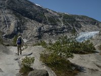 N, Sogn og Fjordane, Luster, Nigardsbreen 12, Saxifraga-Jan van der Straaten