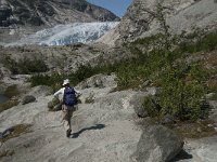 N, Sogn og Fjordane, Luster, Nigardsbreen 15, Saxifraga-Jan van der Straaten