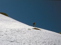 CH, Ticino, Airolo, Passe di Lucendro 4, Saxifraga-Jan van der Straaten