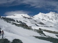 CH, Wallis, Saas Fee, Felskinn 17, Saxifraga-Willem van Kruijsbergen