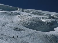 CH, Wallis, Saas-Almagell, Weissmies 25, Saxifraga-Jan van der Straaten