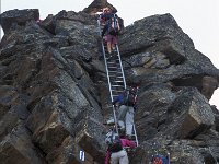 CH, Wallis, Saas-Fee, Mischabelhuette 8, Saxifraga-Jan van der Straaten