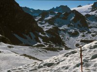 CH, Wallis, Val de Bagnes, Col Termin 3, Saxifraga-Jan van der Straaten