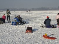 NL, Noord-Brabant, Cranendonck, Soerendonks Goor 7, Saxifraga-Marijke Verhagen