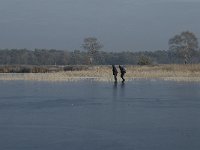 NL, Noord-Brabant, Someren, Beuven 13, Saxifraga-Jan van der Straaten