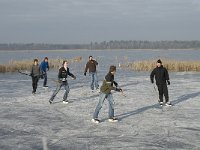 NL, Noord-Brabant, Someren, Beuven 33, Saxifraga-Jan van der Straaten